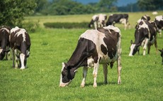 Dairy industry launches £1 million promotional campaign