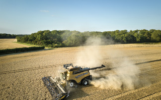 UK grain markets find limited support from volatile global market