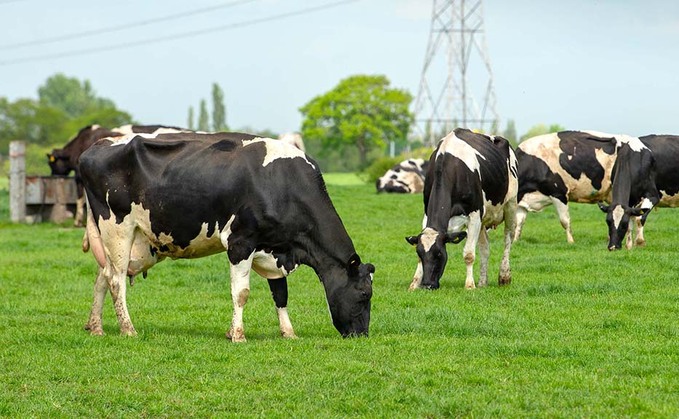 Why are some farmers still retaining PI animals?