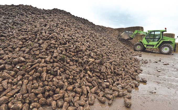 NFU Sugar accuses British Sugar of 'choosing not to support growers' struggling with haulage costs