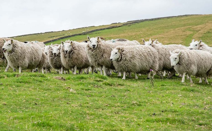 Change in parasite behaviour should see change in anthelmintic use