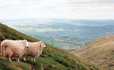 'Reality check' needed on future funding for Welsh farming, says Minister 