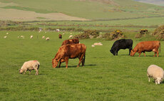 Uplands farmers locked out of ELMs scheme