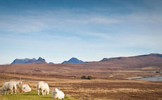 Industry accuses Scottish Government of hardening its 'green agenda'