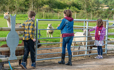 'What type of cow produces semi-skimmed milk?' Farmers reveal funniest questions they are asked on farm