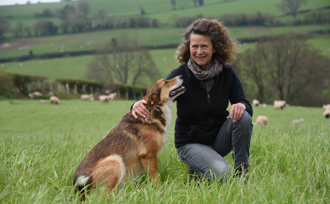 Passion for wool sits alongside successful Romney flock 