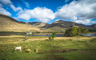 The discussion took place at this year's first Future Farming Expo Scotland event