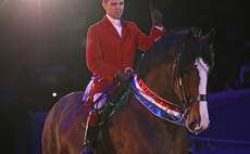 Heavy horses shine at HOYS