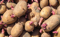 OFC21: No scientific justification for EU ban on seed potatoes, says Eustice