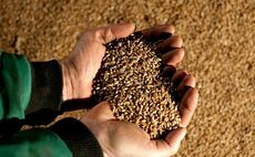 Scots grain passports get new issue date