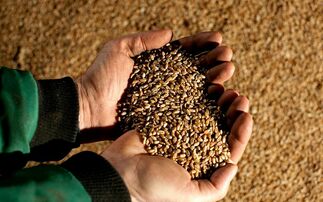 A new Scottish grain passport is being introduced to help farmers