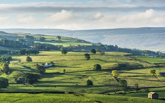 Money and access to land blocking new farming talent