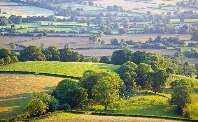 Tenant farmers inquiry must be more than a 'talking shop'