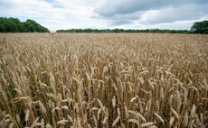 Shropshire farmer to host UK's largest organic conference