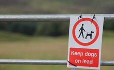 Police appeal to public after dog drags ewe into river