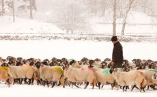 Total farming income expected to plummet to lowest level in 20 years