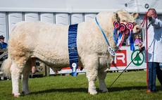 BALMORAL SHOW 2023: Charolais bull crowned champion