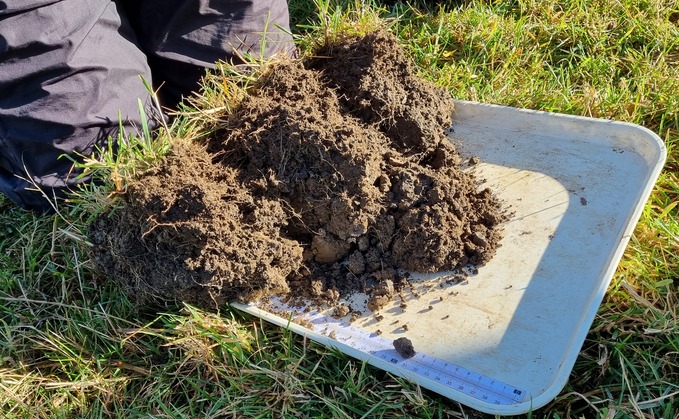 How attention to detail can make the difference between good and great silage