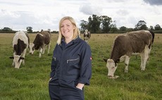 Farming Matters: Milly Fyfe - 'Celebrate our naturally delicious home-grown beef'