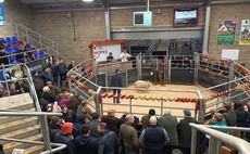 Exciting times ahead for Wigton auction mart