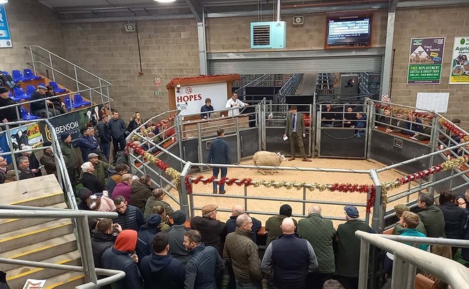 Exciting times ahead for Wigton auction mart