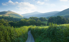 Wales' future farming schemes must consider common land