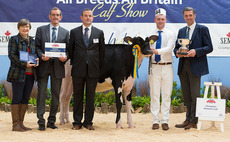 Val-Bisson Doorman daughters lead Holstein classes