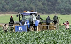 Food sector under threat as Brits shun jobs