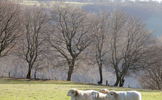 Farmers concern over short term tenancies