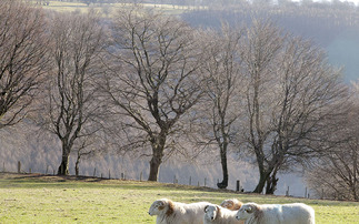 The Right to Roam Act under a Labour Government would allow people to access land differently 