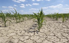 Gen Z urged to consider farming career to help tackle climate change