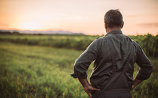 More than a quarter of farmers plan to cut back or cease farming