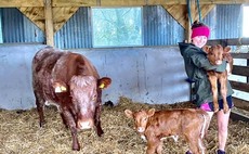 Young farmer focus: Heather Murray - 'Sometimes it feels the whole world is against the ag industry'