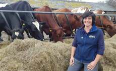 Farming matters: Abi Reader - 'We need to feel part of a rural team now more than ever'