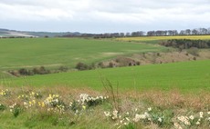 NHS offers healthy market for UK farmers