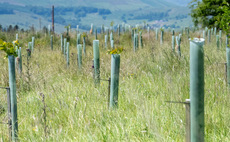 Tree planting not the only way to reduce emissions in Wales, says union