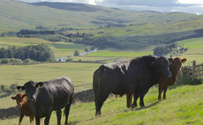 Industry losing confidence in Scotland's 'hardened green agenda' 