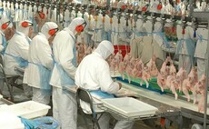 Meat sector blighted by lack of technology investment