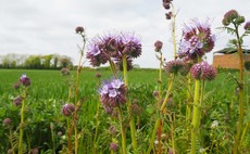 New training launched for farmers to understand greenhouse gas emissions