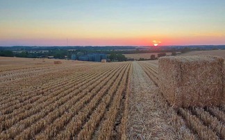 Volatility remains key driver in grain markets