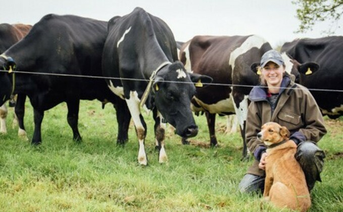 Auto-sorting gate streamlines milking routine