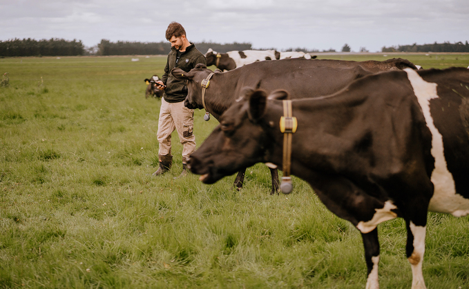 Key livestock management solutions to boost productivity on-farm - Datamars 