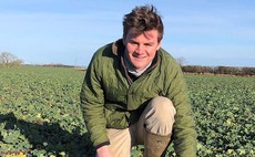 Championing oilseed rape