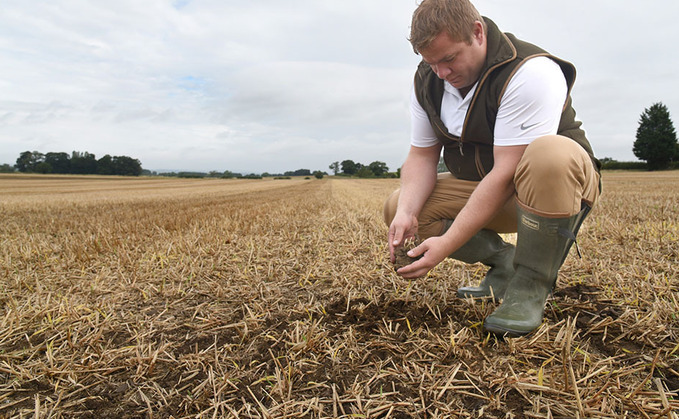 Talking agronomy with Ben Boothman: In the North, well established and tillered winter barleys are rare to find