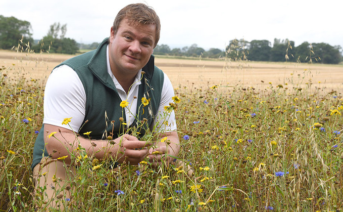 Independent agronomist, Ben Boothman