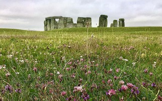 Wildflower meadows to mark King's coronation