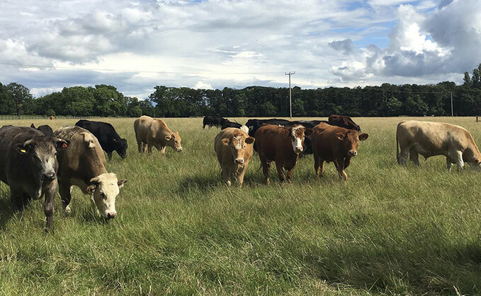 Worms and rotational grazing: what is the risk?