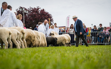 Sugarbabe crowned Devon Show supreme champion 