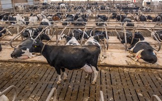 Reducing livestock health risks 