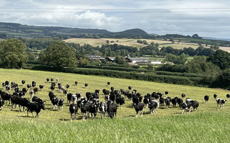 Dairy farm profits set to halve this year